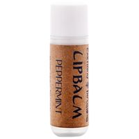 Earthway Infusions Lip Balm Mint